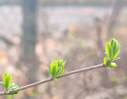 沈陽(yáng)網(wǎng)站制作行業(yè)現(xiàn)狀調(diào)查報(bào)告