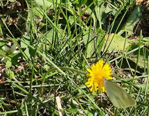 端午安康，沈陽網(wǎng)站建設公司向困難群體獻愛心